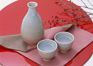 gray bowl on red textile